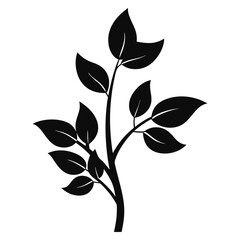 Plant Branch Silhouette Isolated on White Background