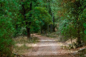 Paisaje típico del parque natural de Cazorla, Segura y Las Villas.