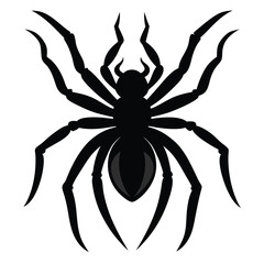 Spider Silhouette Vector on White Background