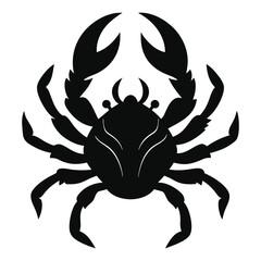 crab isolated on white background