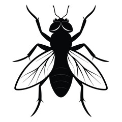 Black Fly Insect Silhouette Vector Illustration