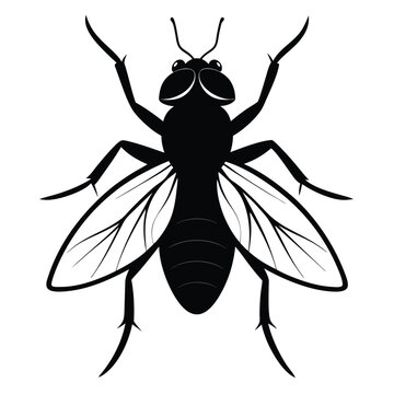 Black Fly Insect Silhouette Vector Illustration