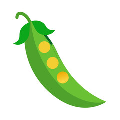 Pea colorful icon vector o  white background 