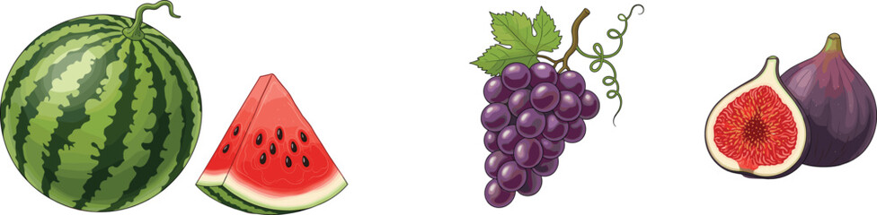 Fototapeta premium Colorful vector illustration of watermelon, grapes, and figs with whole and sliced fruit, healthy organic summer food design for nutrition and freshness