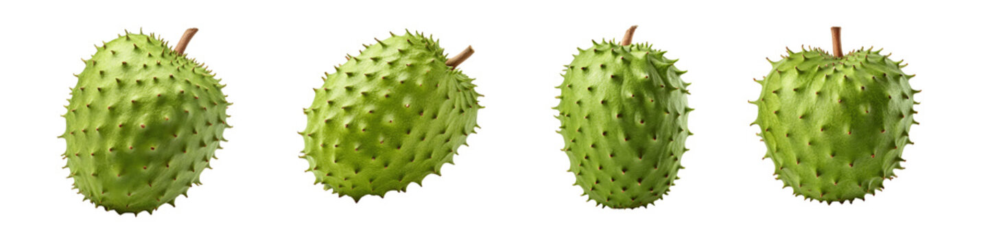 Set for Four fresh green soursops isolated on transparent background