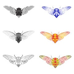 Obraz premium Detailed cicada insect illustration with symmetrical wings, black and white line art style