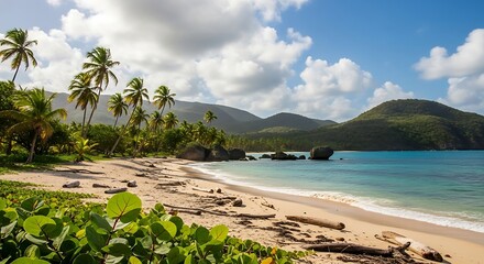 Beautiful beach with palm trees and mountains under a cloudy sky.