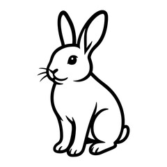 Obraz premium Rabbit Sitting