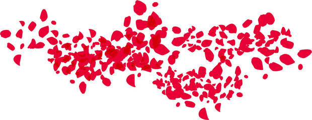 Scattered red petals on white background