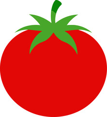 Tomato colorful icon vector on white background  