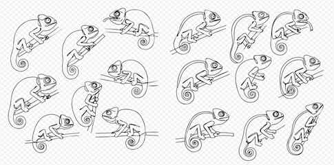 A collection of black and white line art illustrations depicting chameleons in various poses on branches.