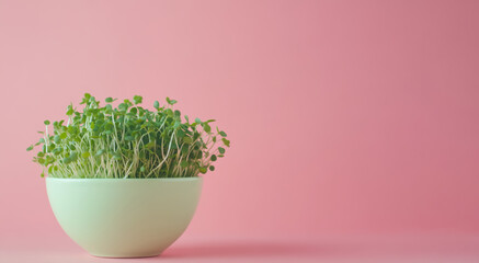 Enjoy vibrant microgreens in a modern bowl against a pastel pink backdrop for fresh, healthy recipes