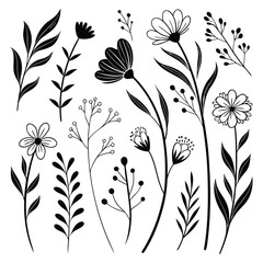 Artistic hand-drawn botanical elements collection featuring flowers and leaves for design projects