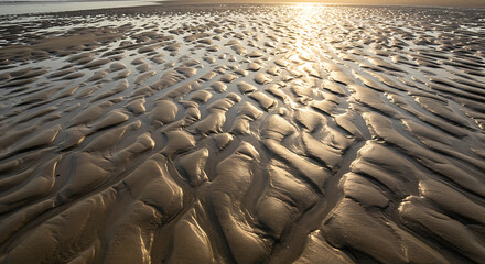 Fototapeta premium Golden Hour Beach Sand Texture: Serene Coastal Pattern, Tidal Ripples, Warm Light
