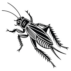 Monochrome Cricket Illustration Featuring Detailed Leg Anatomy Antennae and Body Segmentation Against a Plain White Backdrop For Use