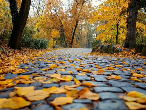 Path in a park is covered in yellow leaves