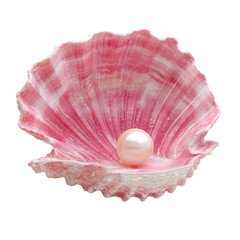 A pink shell with a pearl inside