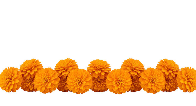 Bright orange marigold flower garland isolated on transparent background, ideal for Diwali, wedding, festival decoration, Hindu rituals, and traditional celebrations. - Powered by Adobe