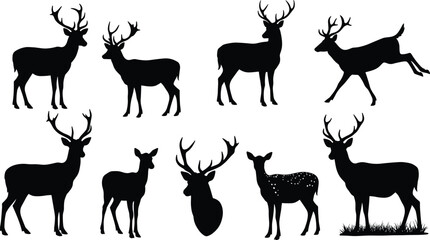 Deer silhouettes in various poses, antlered stag, fawn, wildlife illustration, forest nature scene, grazing, jumping, resting, animal anatomy, hunting reference