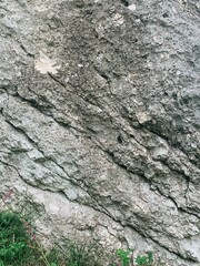 Large textured rock surface found in a natural setting with surrounding vegetation captured during daylight hours