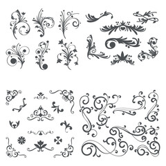 Floral Ornament Design Set – Decorative Vintage Swirl Elements Collection