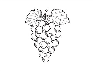 Fototapeta premium Healthy fruit grapes drawing black and white coloring sheet for kids