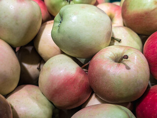 Fresh apples from the orchard harvest