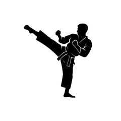 Karate fighter frozen in a high kick silhouette