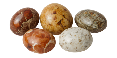 Exotic Eggs in Display: A visually captivating cluster of intricately patterned eggs showcase a spectrum of natural colors and textures, exuding a sense of wonder and curiosity. 