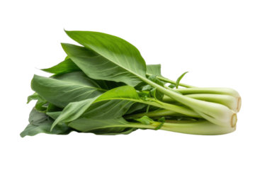 A bunch of fresh green Gai Lan, a popular Asian vegetable, with its vibrant leaves and stems, isolated on a transparent background. background removed