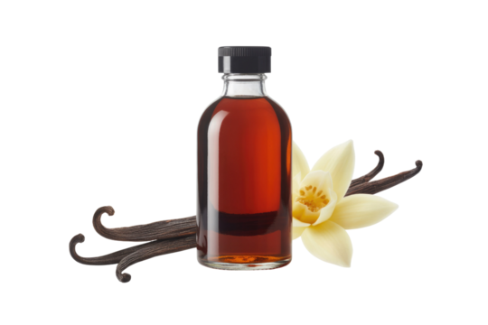 A bottle of vanilla extract next to vanilla beans and a flower on a transparent background. background removed