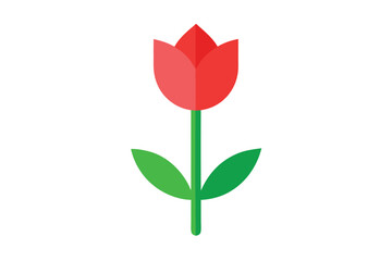 Stylized Red Tulip Illustration Isolated on White Background with Green Stem
