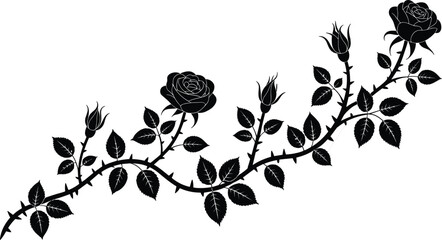 Elegant black rose silhouette with thorns, blooming flowers, floral branch design, decorative botanical artwork, nature inspired vector illustration © Earshad Creative