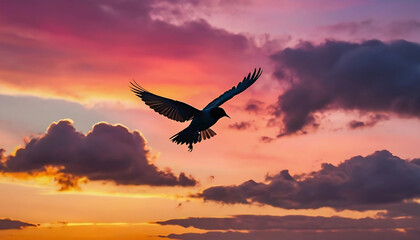 A solitary bird in flight against a dramatic and vibrant sky with colorful clouds during a beautiful sunset or sunrise, ideal for freedom, nature, or travel themes.