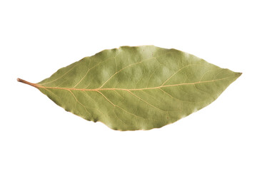 A single, dried bay leaf isolated on a transparent background, showcasing its detailed venation and olive-green hue. background removed