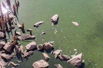 Donana National Park, Andalusia, Spain. 28 August 2025. Pine forests and research buildings in natural reserve.