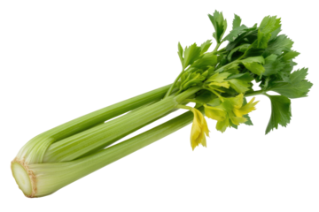 Fresh celery stalks with vibrant green leaves, isolated on a transparent background. background removed
