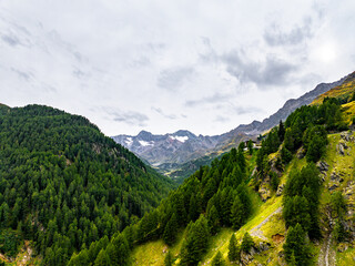 Alpine Landscape of The Area of the Neuschwanstein Castle, Schwangau Germany
