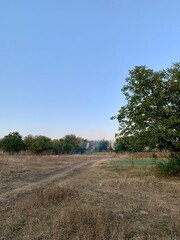 Obraz premium Burn. Field fire. Dry grass burns. Unintentional arson. Forest fire. 