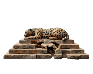 Captivating jaguar sculpture resting on ancient stone pyramid evokes mystery and serenity