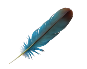 Detailed macro image of a vibrant iridescent feather exhibiting delicate texture and structure