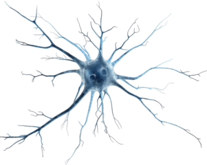 Detailed rendering of a single neuron cell showcasing intricate dendrites and cellular structure
