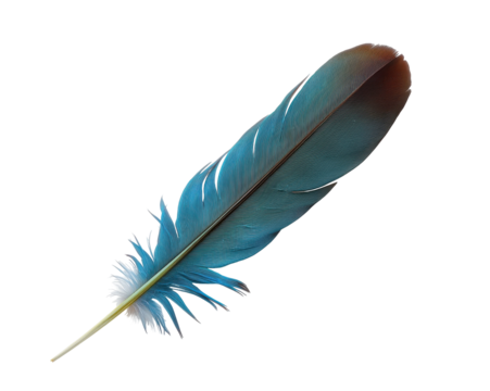 Detailed macro image of a vibrant iridescent feather exhibiting delicate texture and structure