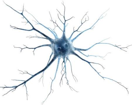Detailed rendering of a single neuron cell showcasing intricate dendrites and cellular structure