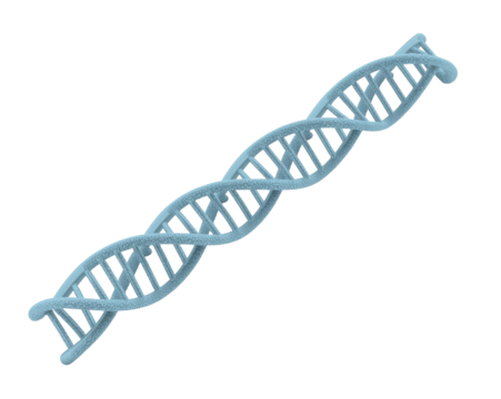 DNA Double Helix Structure, Exploring Genetics, Biology, and the Building Blocks of Life