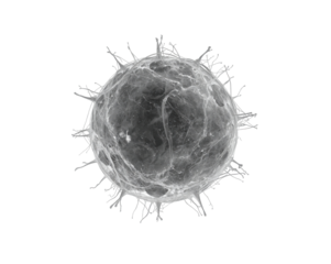 Microscopic View, Intricate depiction of a microscopic organism under high magnification displaying cellular structures