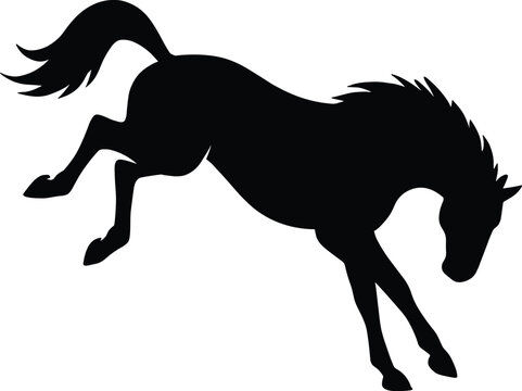 vector silhouette, bucking horse, arched back and kicked hind legs, side view, solid black