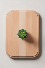 Small succulent in a pot on a light wood cutting board.
