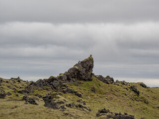 mossy lava fields in Island
