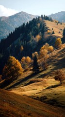 Autumn landscape with vibrant foliage on hills